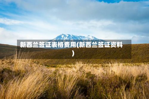 新西兰签证表格费用(新西兰签证资料)-第1张图片