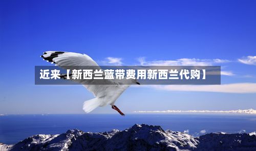 近来【新西兰蓝带费用新西兰代购】-第1张图片