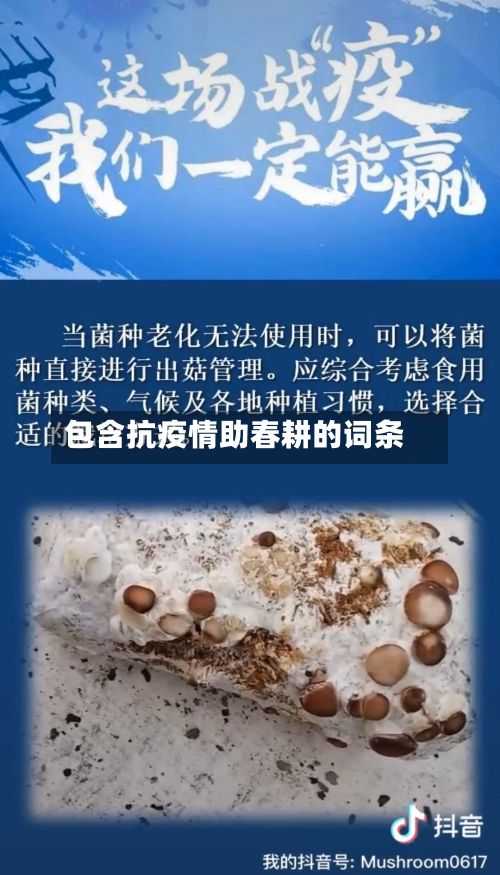 包含抗疫情助春耕的词条-第1张图片