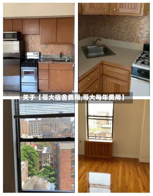 关于【哥大宿舍费用,哥大每年费用】-第1张图片