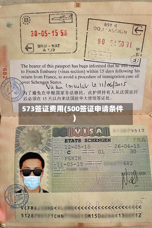 573签证费用(500签证申请条件)-第1张图片