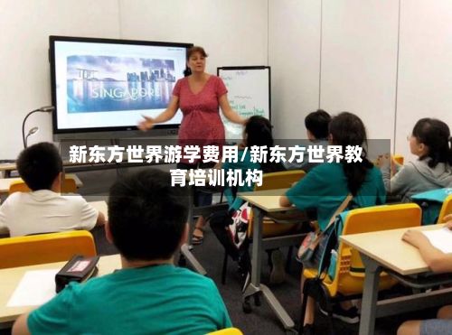 新东方世界游学费用/新东方世界教育培训机构-第1张图片