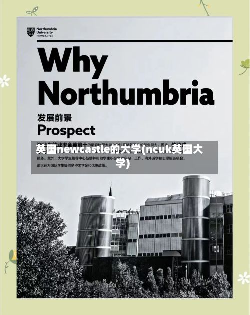 英国newcastle的大学(ncuk英国大学)-第1张图片