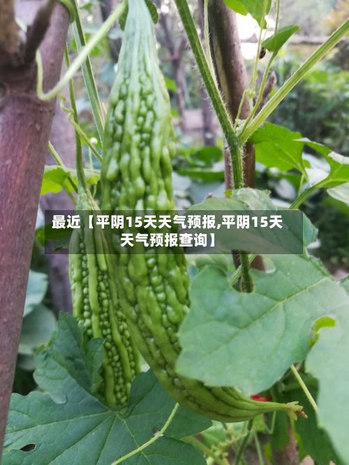 最近【平阴15天天气预报,平阴15天天气预报查询】-第1张图片
