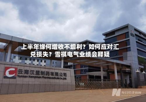 上半年缘何增收不增利?如何应对汇兑损失?雪祺电气业绩会释疑-第1张图片