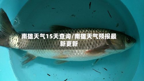 南雄天气15天查询/南雄天气预报最新更新-第1张图片