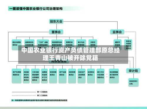 中国农业银行资产负债管理部原总经理王青山被开除党籍-第1张图片