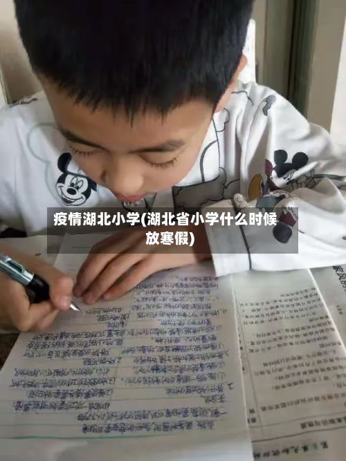 疫情湖北小学(湖北省小学什么时候放寒假)-第1张图片
