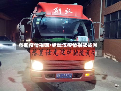 蔡甸疫情捐赠/给武汉疫情捐款截图-第1张图片