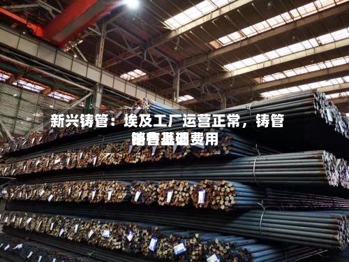 新兴铸管：埃及工厂运营正常，铸管销售基础费用略有上调-第1张图片