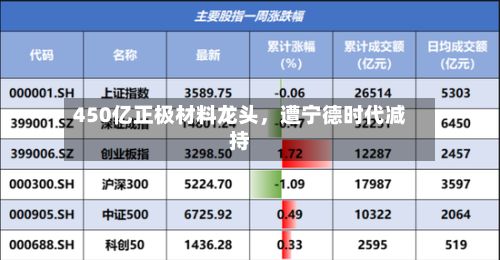 450亿正极材料龙头，遭宁德时代减持-第1张图片