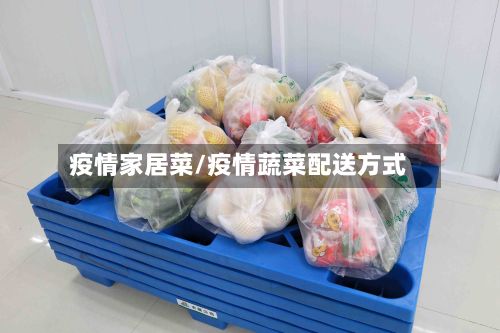 疫情家居菜/疫情蔬菜配送方式-第1张图片