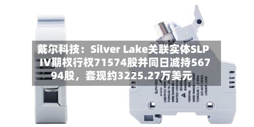 戴尔科技：Silver Lake关联实体SLP IV期权行权71574股并同日减持56794股，套现约3225.27万美元-第1张图片