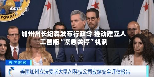 加州州长纽森发布行政令 推动建立人工智能“紧急关停”机制-第1张图片