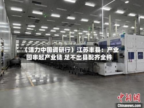 (活力中国调研行)江苏丰县:产业园串起产业链 足不出县配齐全件-第1张图片