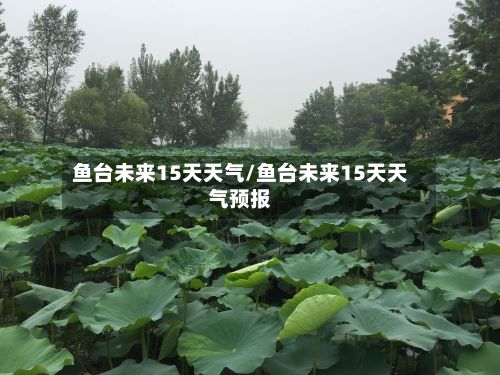 鱼台未来15天天气/鱼台未来15天天气预报-第1张图片