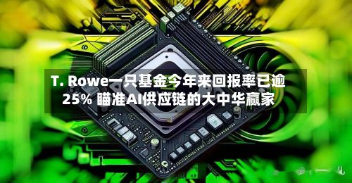 T. Rowe一只基金今年来回报率已逾25% 瞄准AI供应链的大中华赢家-第1张图片
