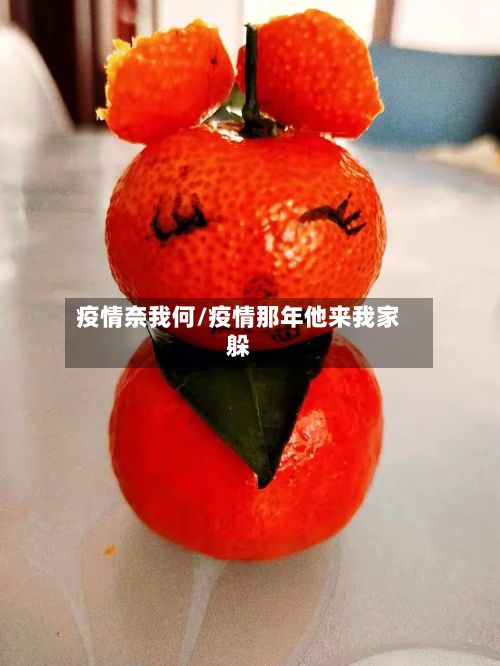 疫情奈我何/疫情那年他来我家躲-第1张图片
