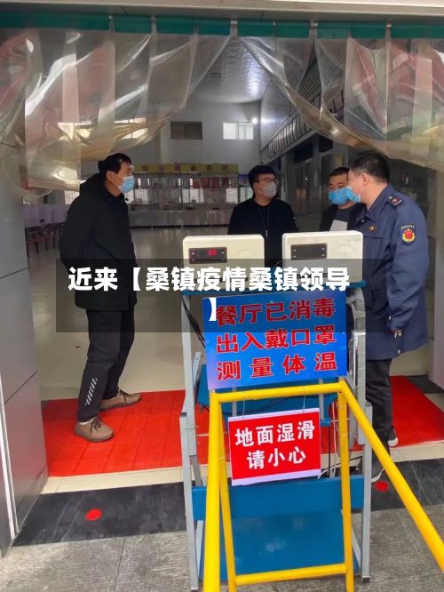 近来【桑镇疫情桑镇领导】-第1张图片