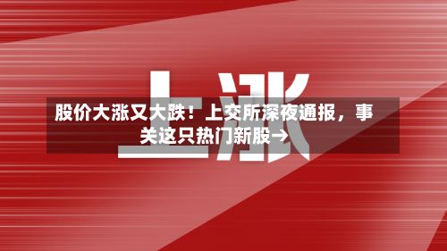 股价大涨又大跌！上交所深夜通报	，事关这只热门新股→-第1张图片