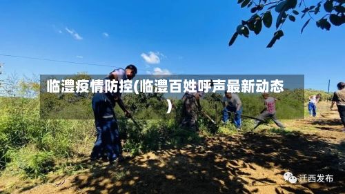 临澧疫情防控(临澧百姓呼声最新动态)-第1张图片