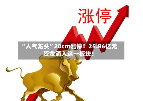 “人气龙头”20cm涨停！25.86亿元资金涌入这一板块！-第1张图片