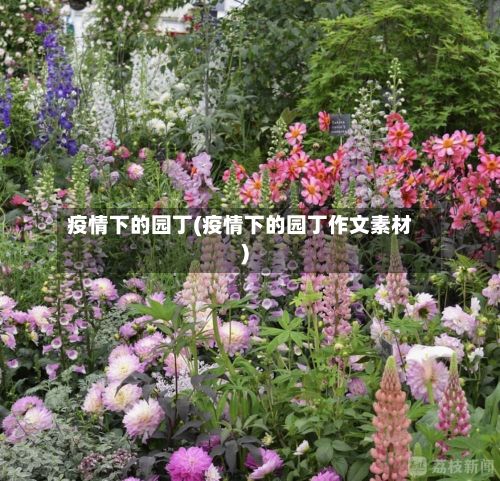 疫情下的园丁(疫情下的园丁作文素材)-第1张图片