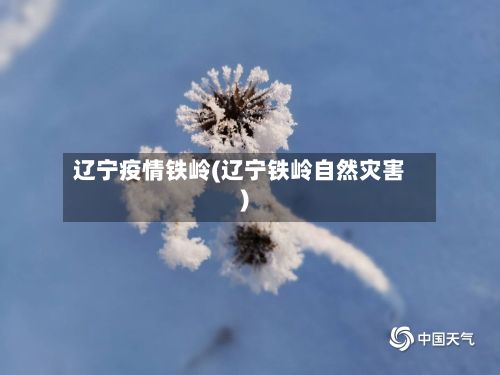 辽宁疫情铁岭(辽宁铁岭自然灾害)-第1张图片