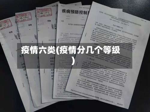 疫情六类(疫情分几个等级)-第1张图片