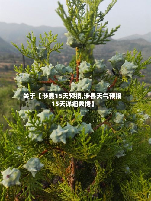 关于【涉县15天预报,涉县天气预报15天详细数据】-第1张图片