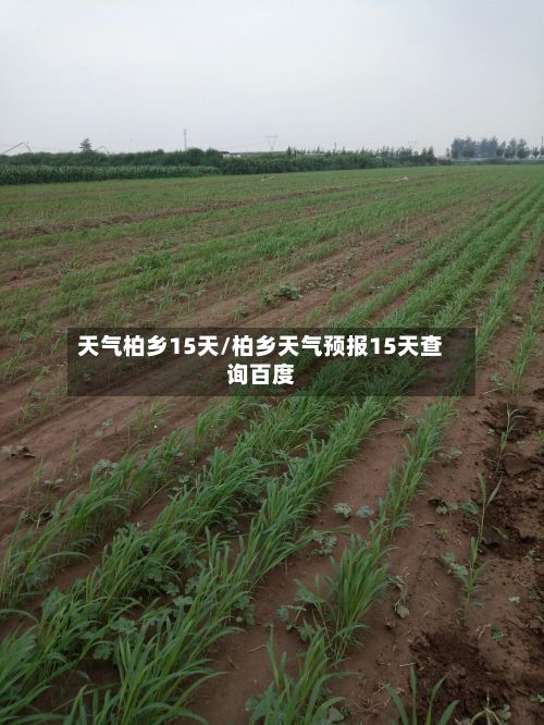 天气柏乡15天/柏乡天气预报15天查询百度-第1张图片