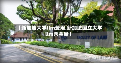 【新加坡大学llm费用,新加坡国立大学llm含金量】-第1张图片