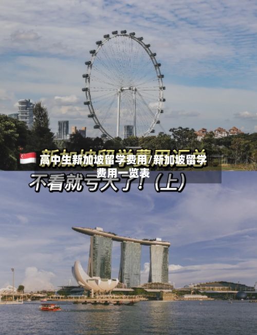 高中生新加坡留学费用/新加坡留学费用一览表-第1张图片