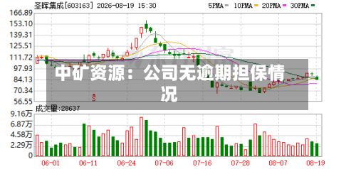 中矿资源:公司无逾期担保情况-第1张图片