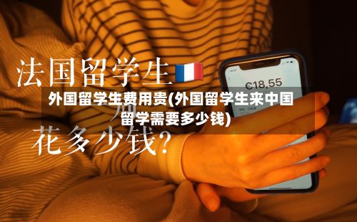 外国留学生费用贵(外国留学生来中国留学需要多少钱)-第1张图片