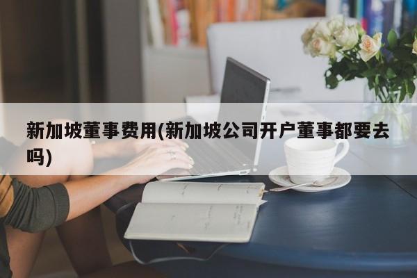 新加坡董事费用(新加坡公司开户董事都要去吗)