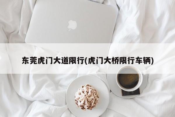 东莞虎门大道限行(虎门大桥限行车辆)