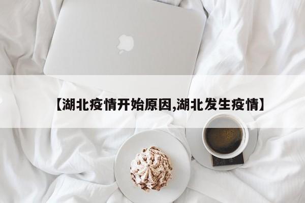 【湖北疫情开始原因,湖北发生疫情】