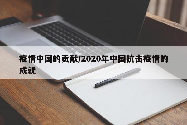 疫情中国的贡献/2020年中国抗击疫情的成就