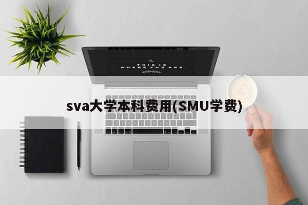 sva大学本科费用(SMU学费)
