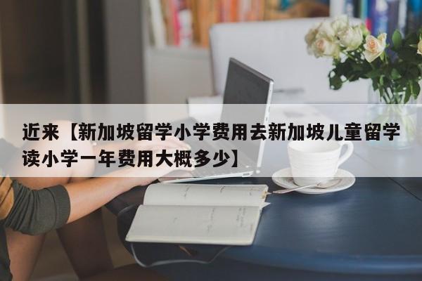 近来【新加坡留学小学费用去新加坡儿童留学读小学一年费用大概多少】