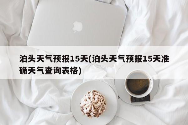 泊头天气预报15天(泊头天气预报15天准确天气查询表格)