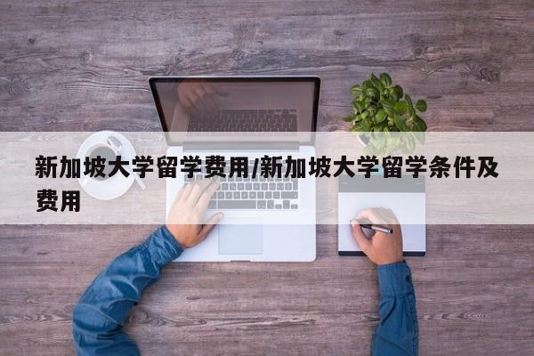 新加坡大学留学费用/新加坡大学留学条件及费用