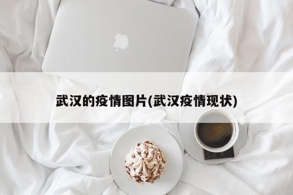 武汉的疫情图片(武汉疫情现状)