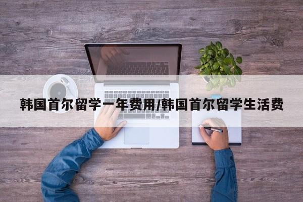 韩国首尔留学一年费用/韩国首尔留学生活费