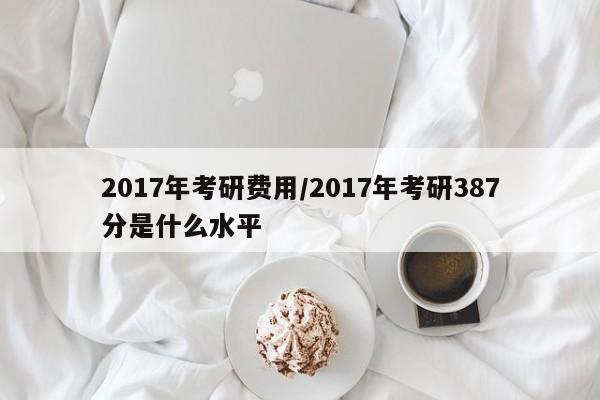 2017年考研费用/2017年考研387分是什么水平