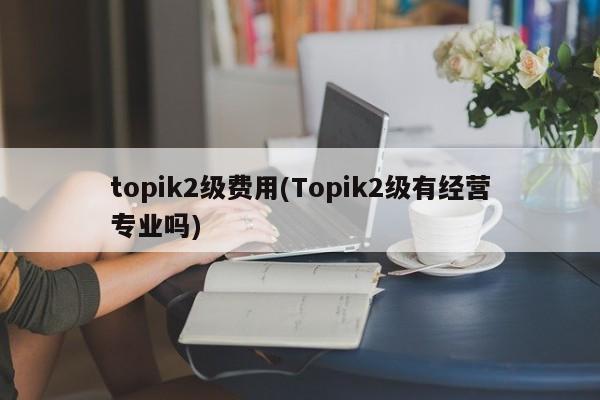 topik2级费用(Topik2级有经营专业吗)