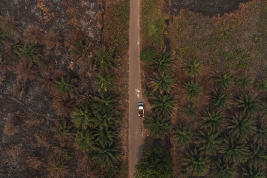 满足全球生物燃料需求，或将需要相当于美国蒙大拿州大小的土地